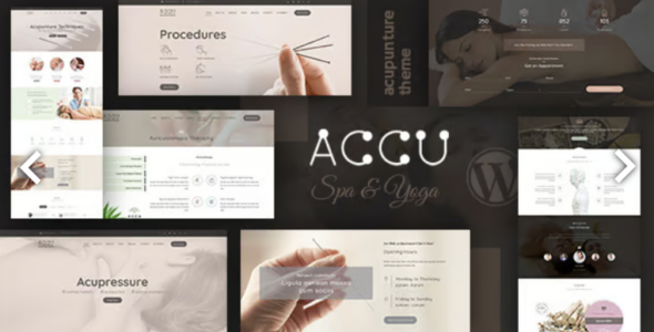 Accu - Healthcare, Massage WordPress Theme