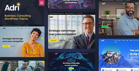 Adri Business and Consulting WordPress Theme