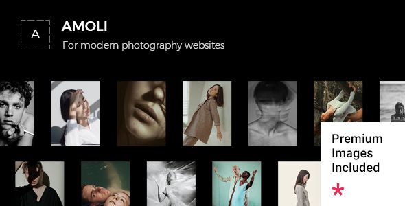 Amoli – Fashion Photography Theme 1 Amoli – Fashion Photography Theme for WordPress