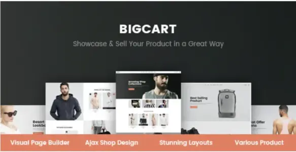 Bigcart WordPress Theme