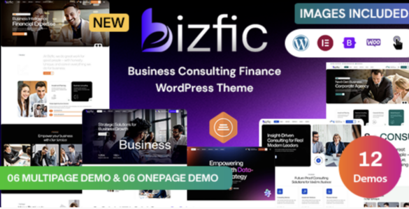 Bizfic Business Consulting & Financial Advisors WordPress Theme
