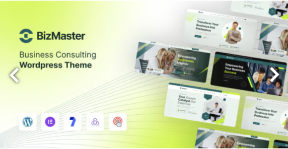 Biz Master Business Consulting WordPress Theme