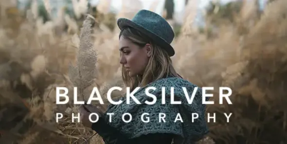 Blacksilver Pro WordPress Theme