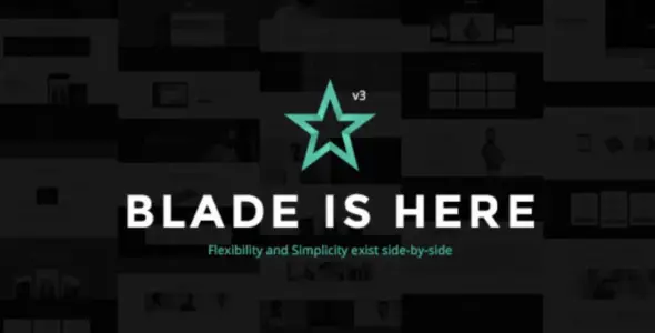 Blade Pro – Responsive Multi-Functional WordPress Theme