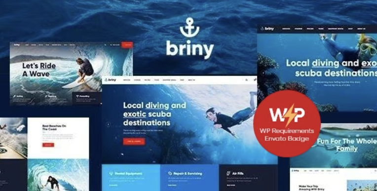 Briny | Scuba Diving & Water Sports WordPress Theme + RTL 1 Briny WordPress Theme