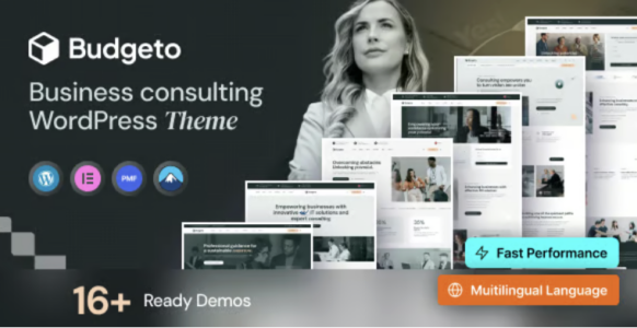 Budgeto Business Consulting WordPress Theme
