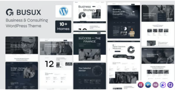 Busux Business & Consulting WordPress Theme