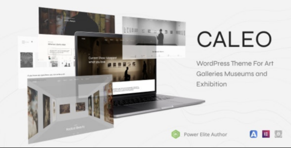 Caleo – Art Gallery WordPress Theme