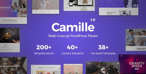 Camille - Multi-Concept WordPress Theme 1 Camille Multi-Concept WordPress Theme