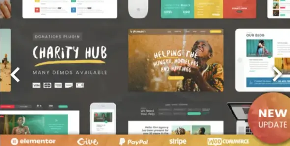 Charity Foundation WordPress Pro