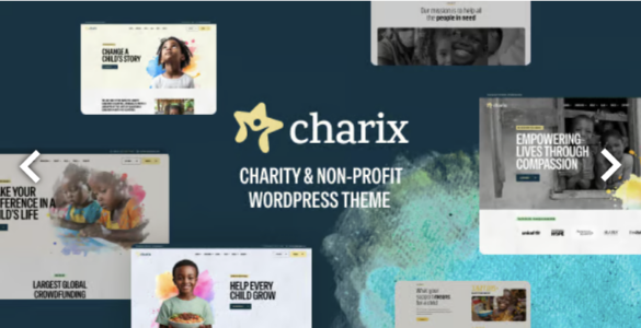 Charix Charity Nonprofit WordPress Theme