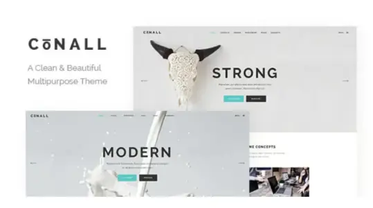 Conall Pro clean multipurpose WordPress theme