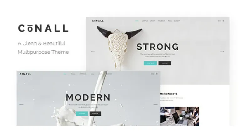 Conall Pro - Clean Multipurpose WordPress Theme 1 Conall Pro clean multipurpose WordPress theme