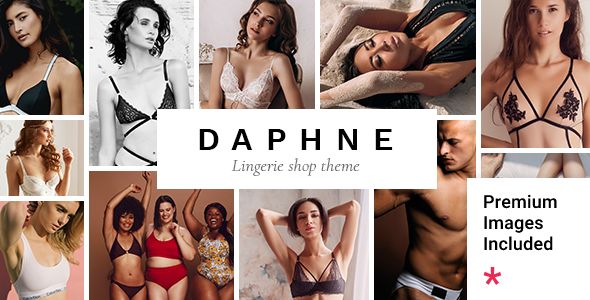 Daphne - Lingerie Shop WordPress Theme 1 Daphne Lingerie Shop WordPress Theme