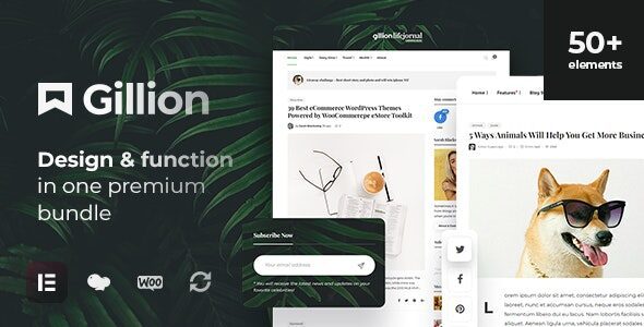 Gillion | Multi-Concept Blog/Magazine & Shop WordPress AMP Theme 1 Gillion WordPress Theme