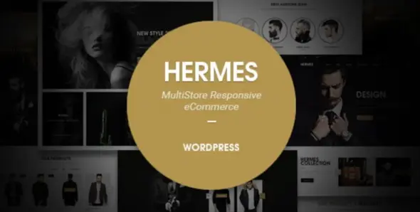 Hermes Pro WordPress Theme