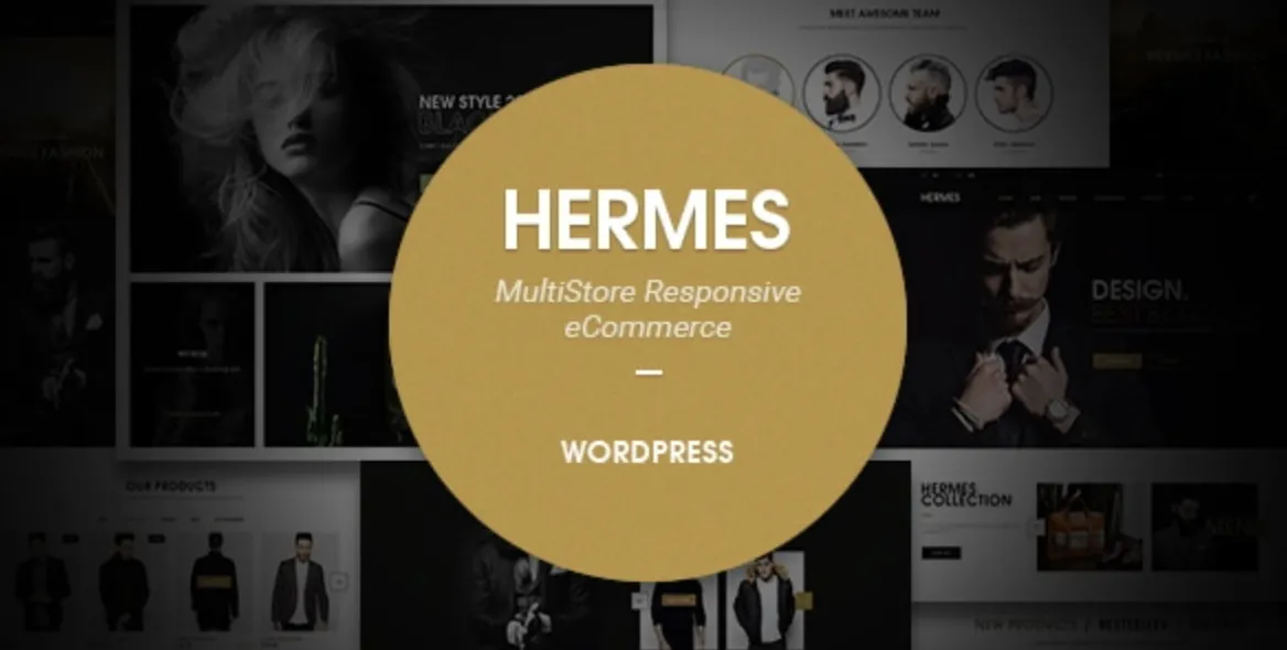 Hermes Pro – Multi-Purpose Premium Responsive WordPress Theme 1 Hermes Pro WordPress Theme