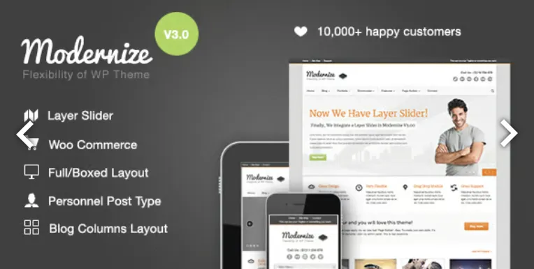 Modernize Pro – Flexibility of WordPress 1 Modernize Pro – Flexibility of WordPress theme