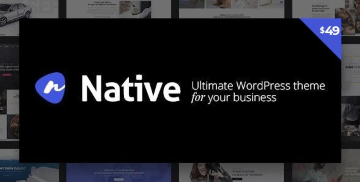 Native Pro - Stylish Multi-Purpose Creative WP Theme 1 Native Pro WordPress Theme