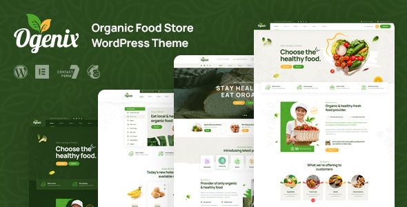 Ogenix - Organic Food Store WordPress Theme 1 Ogenix Organic Food Store WordPress Theme