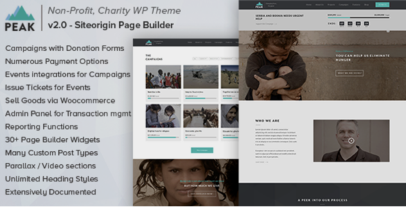 Peak - Charity Nonprofit WordPress Theme