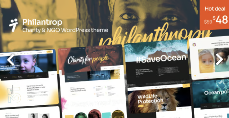 Philantrop | Charity & Nonprofit WordPress Theme 1 Philantrop Charity & NGO WordPress Theme