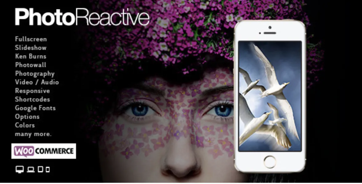 PhotoReactive Pro | WordPress Theme 1 Photo Reactive Pro WordPress Theme