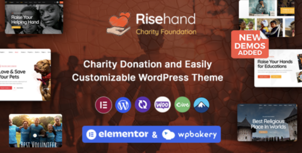 Rise Hand Charity & Donation WordPress Theme