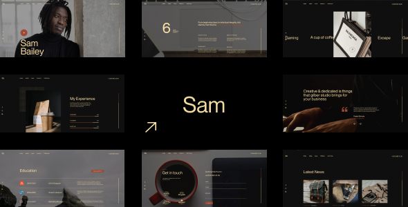 Sam Bailey - Personal CV/Resume WordPress Theme 1 Sam Bailey - Personal CV/Resume WordPress Theme