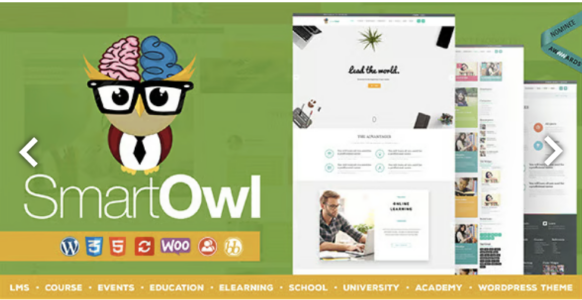 Smart OWL LMS Education WordPress Theme