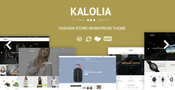 SNS Kalolia - Shop WordPress Woo Commerce Theme
