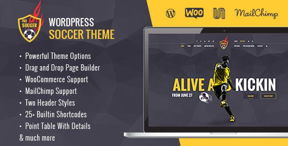 Soccer Acumen – Football Club WordPress Theme 1 Soccer Acumen – Football Club WordPress Theme
