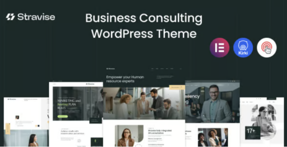 Stravise Business Consulting WordPress Theme