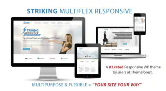 Striking - Multi Flex & Ecommerce Responsive WP Theme