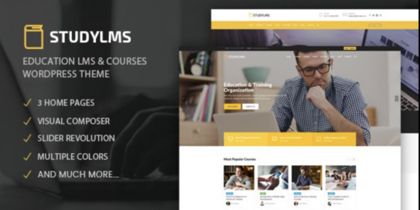 Studylms Education LMS Courses WordPress Theme