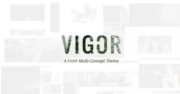 Vigor Pro – Vintage WordPress Theme