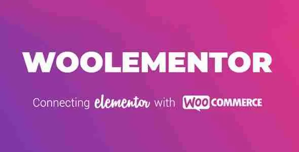 CoDesigner Pro (formerly Woolementor Pro) 1 Co Designer Pro WordPress Plugin