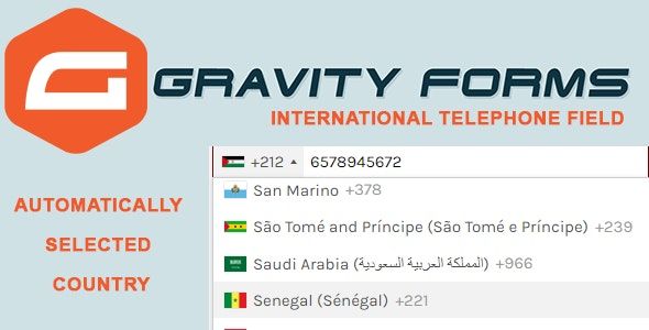 Gravity Forms International Telephone Field 1 Gravity Forms International Telephone Field WordPress Plugin