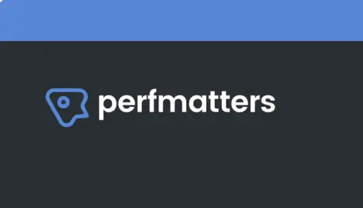 Perfmatters WordPress Plugin