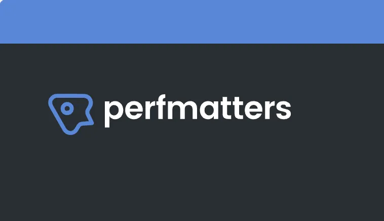 Perfmatters – Lightweight WordPress performance plugin 1 Perfmatters WordPress Plugin