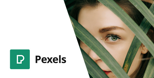 Pexels - Import Free Stock Images into WordPress 1 Pexels Import Free Stock Images into WordPress plugin