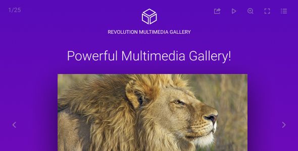 Revolution Multimedia Gallery 1 Revolution Multimedia Gallery WordPress Plugin