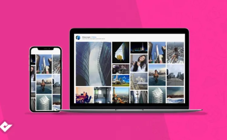 Social Feed Gallery Pro – WordPress plugin 1 Social Feed Gallery Pro WordPress plugin